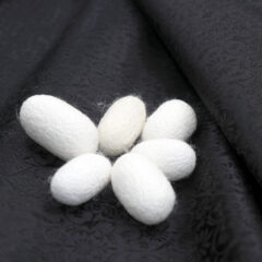 天然のお蚕様の繭をゲットしました！