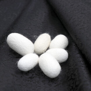 天然のお蚕様の繭をゲットしました!