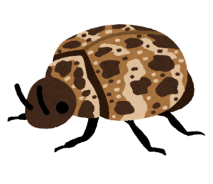 ヒメマルカツオブシムシ いらすと