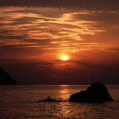 2022年1月の財布購入に特におススメの幸運日！