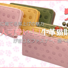 新しい猫財布のクラウドファンディング始まりました！